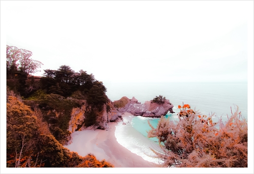 waterfall at the beach at Mcway Falls, Big Sur, Highway 1, California, USA Art Print by Timmy333