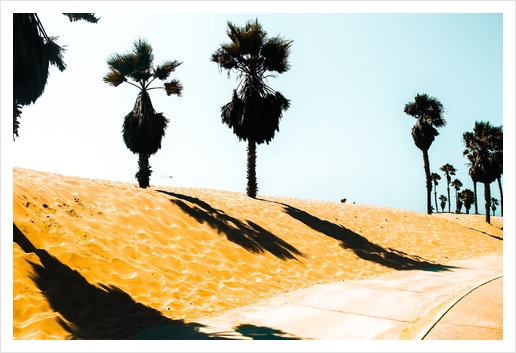 palm tree and summer sandy beach at Oxnard Beach, California, USA Art Print by Timmy333