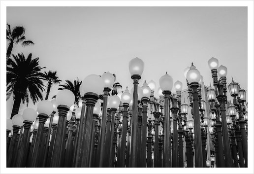 Urban Light at LACMA Los Angeles California USA in black and white Art Print by Timmy333