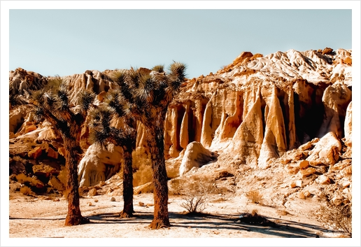 Desert and cactus at Red Rock Canyon State Park California USA Art Print by Timmy333