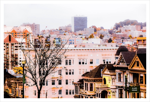 City view at Alamo Square, San Francisco, California, USA Art Print by Timmy333