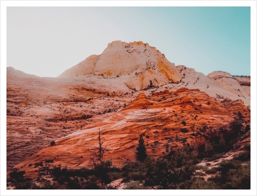 Mountain view at Zion national park Utah USA Art Print by Timmy333