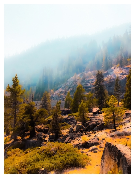 pine tree on the mountain with sunlight at Lake Tahoe, California, USA Art Print by Timmy333