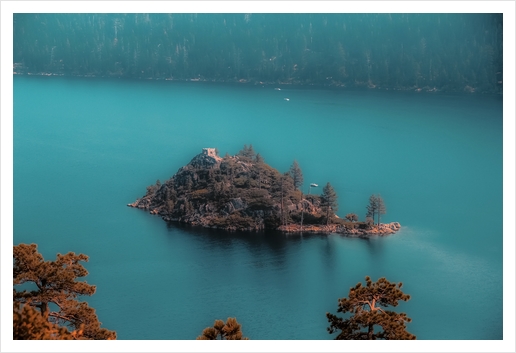 Island and pine tree at Emerald Bay Lake Tahoe California USA Art Print by Timmy333