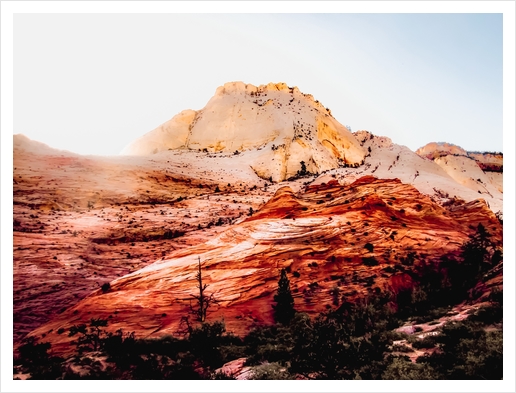 Mountain view in the forest at Zion national park, Utah, USA Art Print by Timmy333