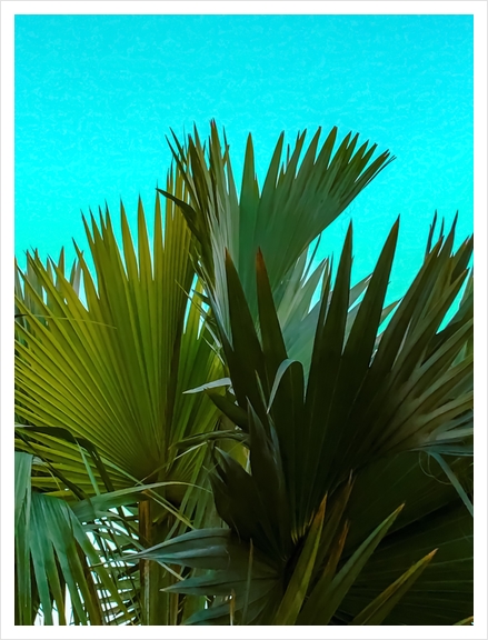 Closeup green palm leaves texture with blue background Art Print by Timmy333