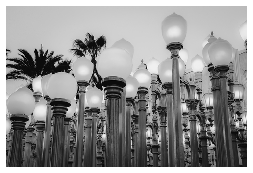 Urban Light at LACMA Los Angeles California USA in black and white Art Print by Timmy333