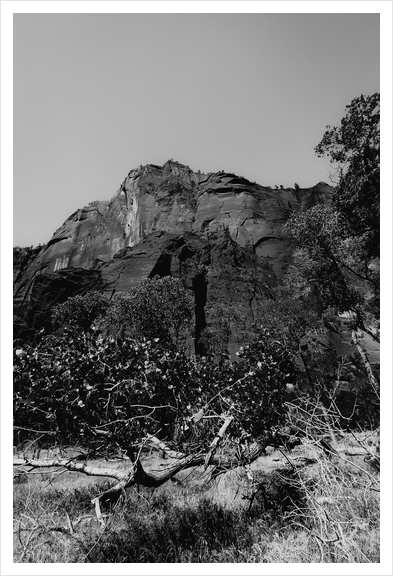 mountain in the forest at Zion national park Utah USA in black and white Art Print by Timmy333