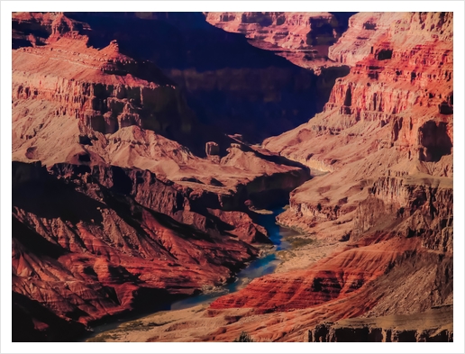 texture of the desert at Grand Canyon national park, Arizona, USA Art Print by Timmy333