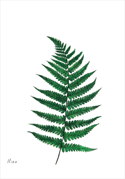 Fern Art Print by Nika_Akin