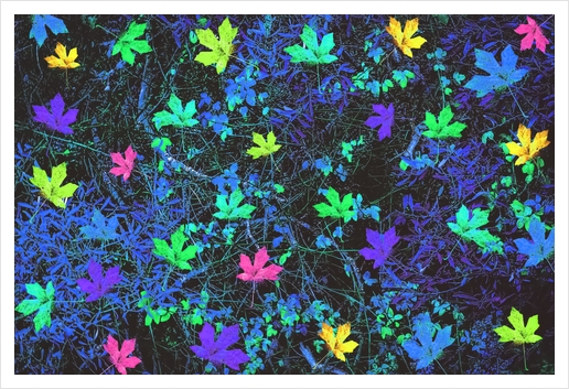 maple leaf in pink green purple blue yellow with blue creepers plants background Art Print by Timmy333