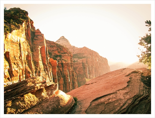 mountain at Zion national park, USA Art Print by Timmy333