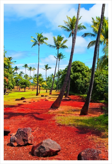 palm trees with green tree and blue cloudy sky in summer Art Print by Timmy333