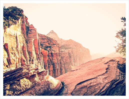 At Zion national park, USA in summer Art Print by Timmy333