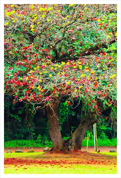 big tree with green yellow and red leaves Art Print by Timmy333