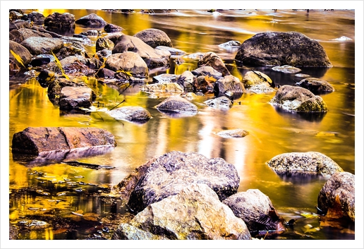 rock and stone in the river with the summer sunset light Art Print by Timmy333