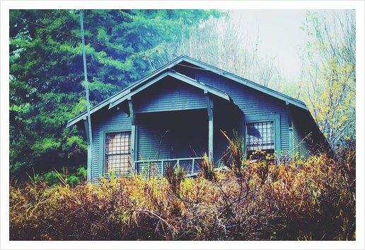 green wooden house in the forest in winter Art Print by Timmy333