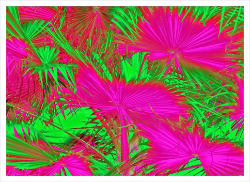 closeup palm leaf texture abstract background in pink and green Art Print by Timmy333