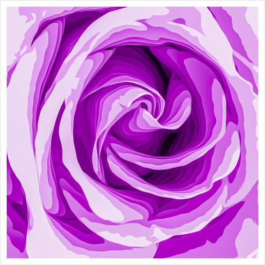 closeup purple rose texture background Art Print by Timmy333