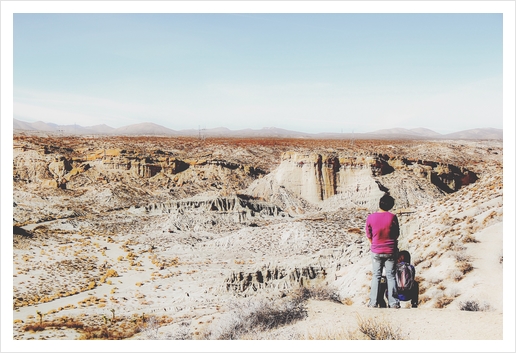 enjoy desert view in summer at Red Rock Canyon, California, USA Art Print by Timmy333