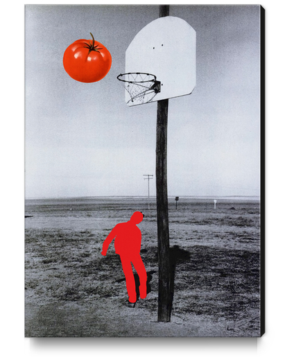 Tomato Canvas Print by Lerson