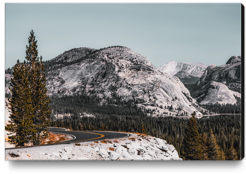 road with mountain view at Yosemite national park California USA Canvas Print by Timmy333