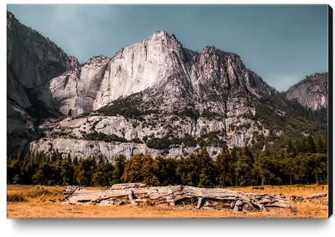 Mountains with blue sky at Yosemite national park California USA Canvas Print by Timmy333