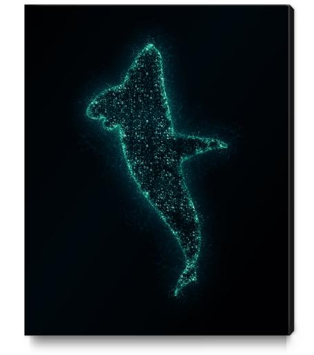 Splash Whale X 0.3 Canvas Print by Amir Faysal