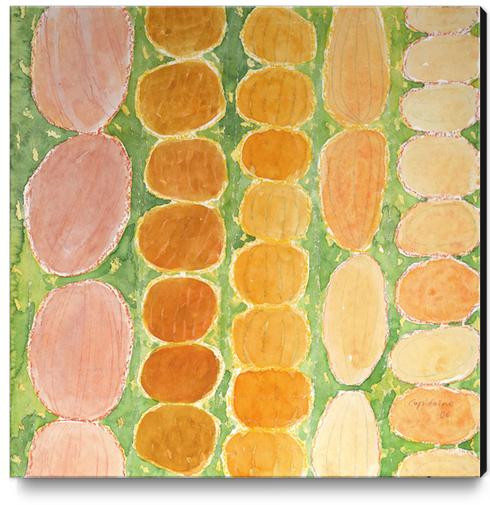 Rows of Round and Reddish Food on Green  Canvas Print by Heidi Capitaine