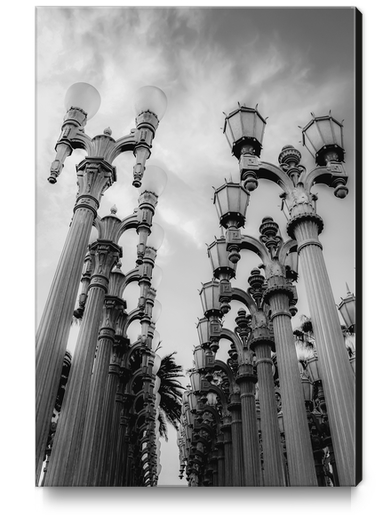 Urban Light at LACMA Los Angeles California USA in black and white Canvas Print by Timmy333