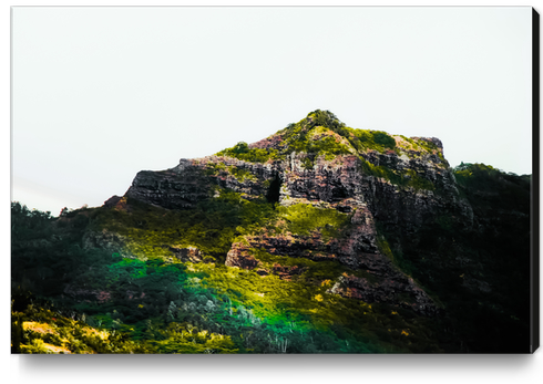 green tropical mountains at Kauai, Hawaii, USA Canvas Print by Timmy333