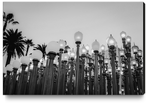 Urban Light at LACMA Los Angeles California USA in black and white Canvas Print by Timmy333