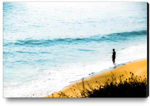 blue ocean waves and sandy beach at Point Mugu State Park, California, USA Canvas Print by Timmy333