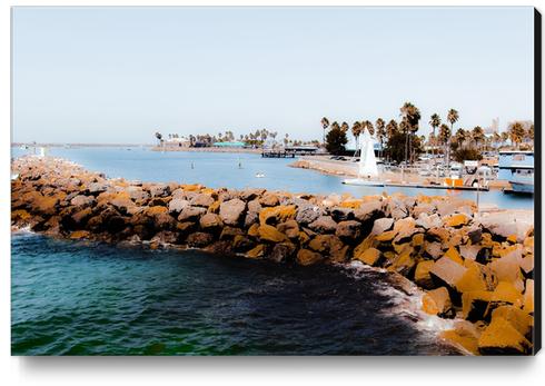 Summer beach with blue sky at Redondo beach California USA  Canvas Print by Timmy333