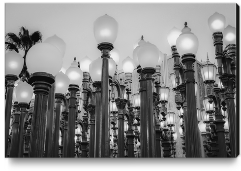 Urban Light at LACMA Los Angeles California USA in black and white Canvas Print by Timmy333