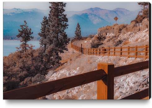 Walkway with pine tree and mountain background at Lake Tahoe Nevada USA Canvas Print by Timmy333