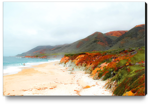 sandy beach and mountain at Big Sur, Highway 1, California, USA Canvas Print by Timmy333