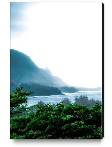 green tropical land with ocean front at Kauai, Hawaii, USA Canvas Print by Timmy333