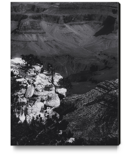 Desert scenic at Grand Canyon national park, Arizona, USA in black and white Canvas Print by Timmy333