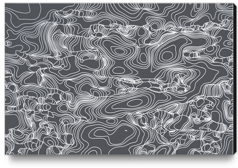 geometric line abstract art background in black and white Canvas Print by Timmy333