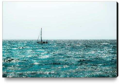 sail boat on the lake with blue water at Lake Tahoe, California, USA Canvas Print by Timmy333