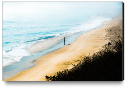 sandy beach blue wave at Point Mugu State Park, California, USA Canvas Print by Timmy333