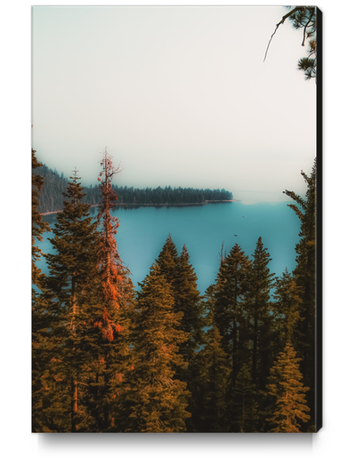 pine tree and lake scenic at Emerald Bay Lake Tahoe California USA Canvas Print by Timmy333