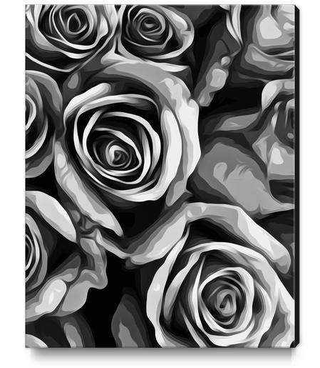 roses texture in black and white Canvas Print by Timmy333