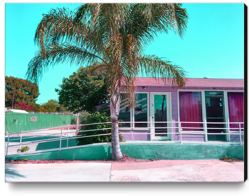 pink building in the city with palm tree and blue sky Canvas Print by Timmy333