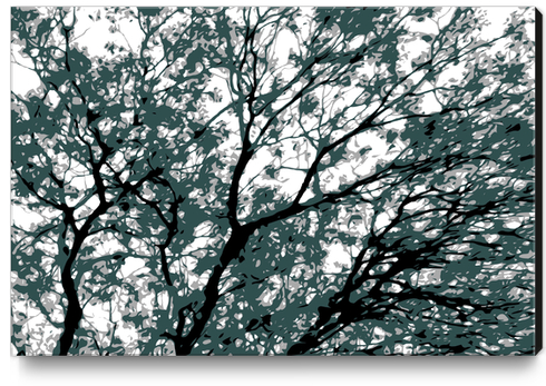 tree branch with green leaves abstract background Canvas Print by Timmy333