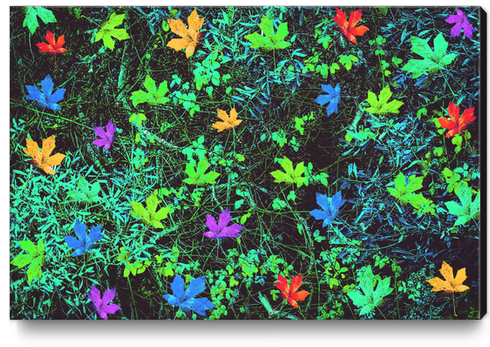 maple leaf in pink blue green yellow orange with green creepers plants background Canvas Print by Timmy333