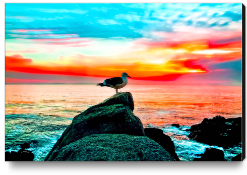 seagull bird on the stone with ocean sunset sky background in summer Canvas Print by Timmy333