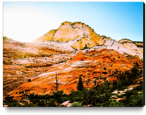 mountain at Zion national park, USA Canvas Print by Timmy333