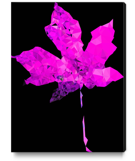 pink geometric polygon maple leaf abstract pattern with black background Canvas Print by Timmy333